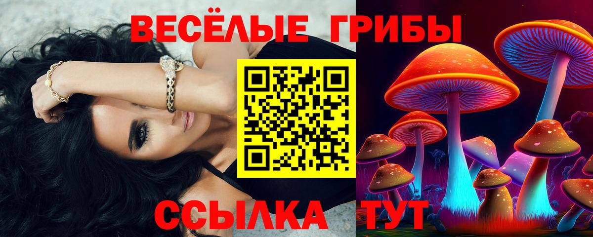 Гусиноозёрск  Галлюциногенные грибы ЛСД  Вход с VPN 