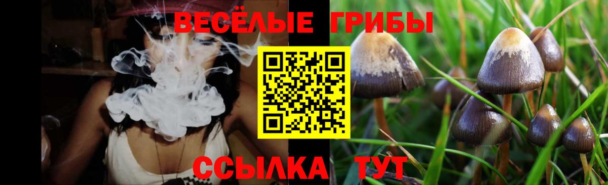 Галлюциногенные грибы Magic Shrooms Гусиноозёрск